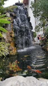 The man made waterfall and koi pond is delightful
